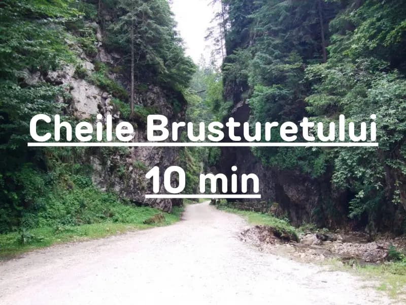 Cheile Brusturețului